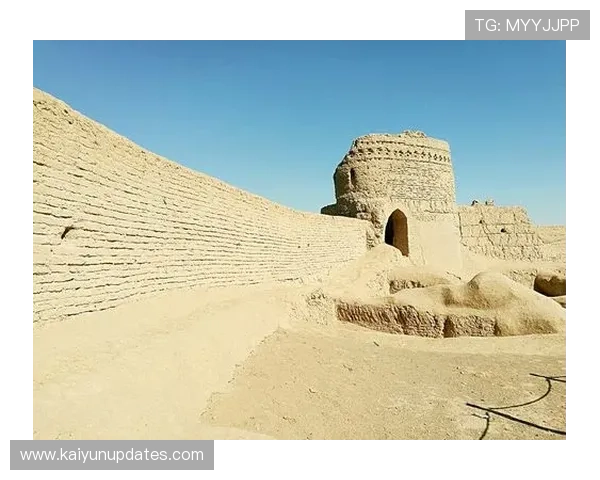 伊朗世界杯征程全景解析从历史突破到未来挑战深度观察与亚洲足球格局变迁